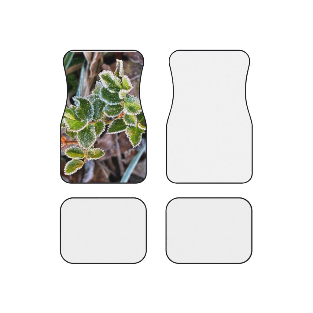 Car Mats (Set of 4)