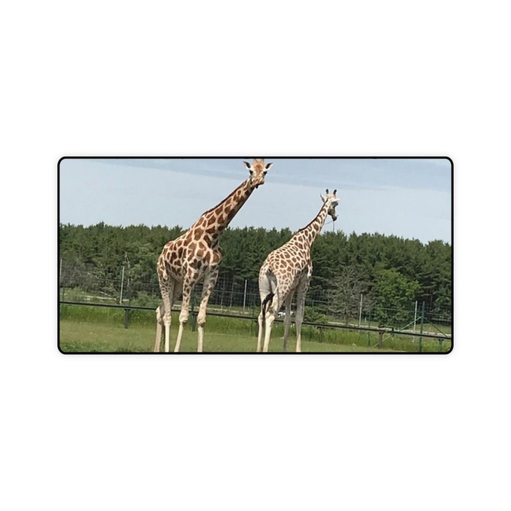 Desk Mats