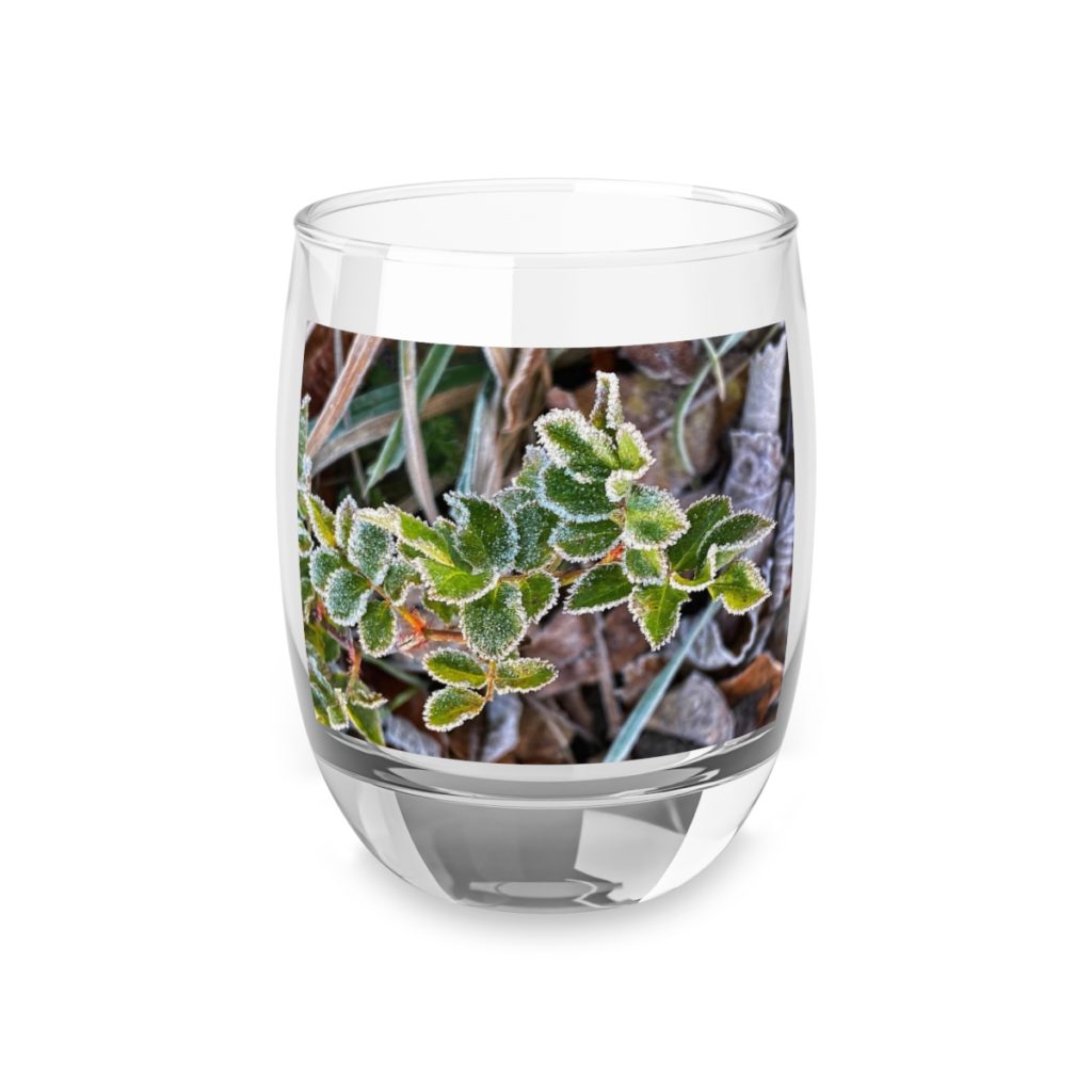 Whiskey Glass